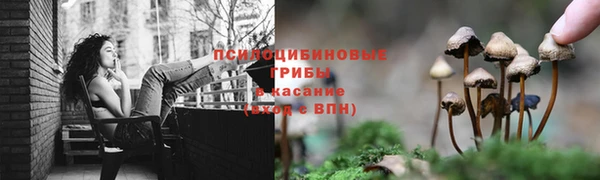 круглые Волоколамск