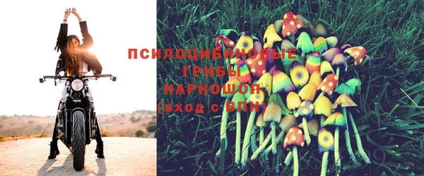 PSILOCYBIN Володарск