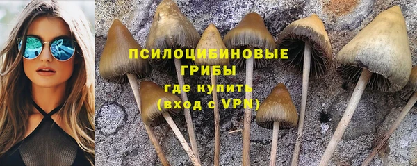 спиды Нязепетровск