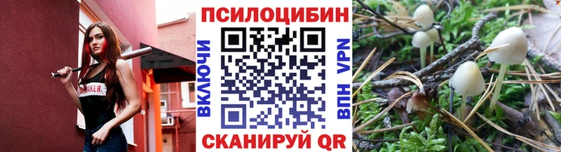 Псилоцибиновые грибы мицелий  где купить наркотик  МЕГА ONION  Норильск 