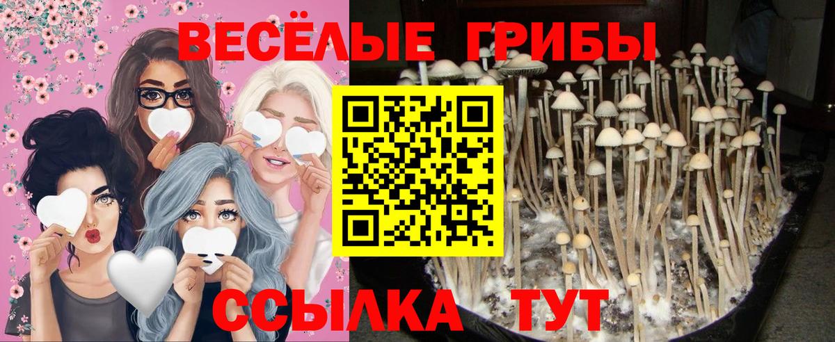 Галлюциногенные грибы Magic Shrooms Норильск