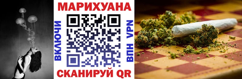 Конопля сатива  Норильск 
